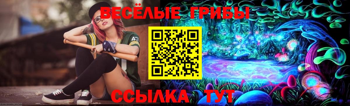 Псилоцибиновые грибы Psilocybe Осинники